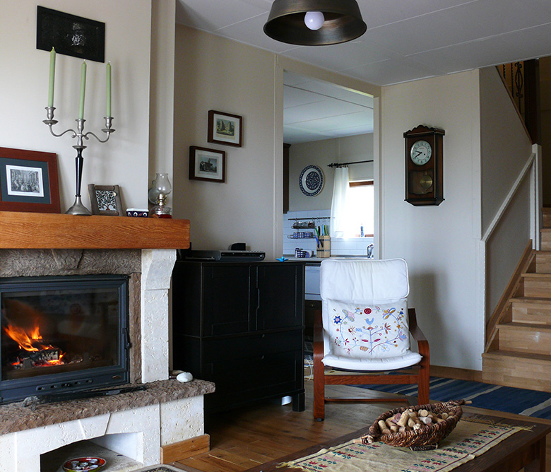 İznik Bağ Evi Projesi