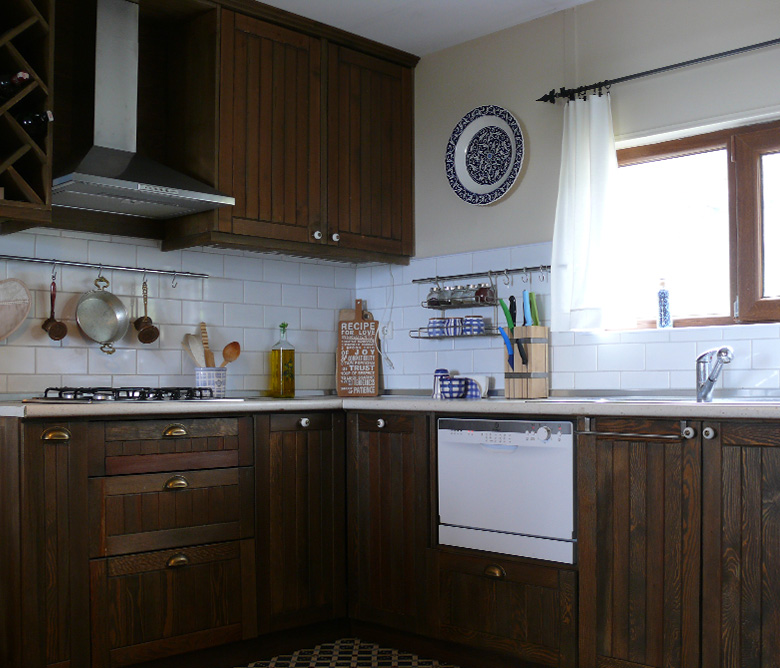 İznik Bağ Evi Projesi